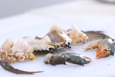 如何處理蟹？