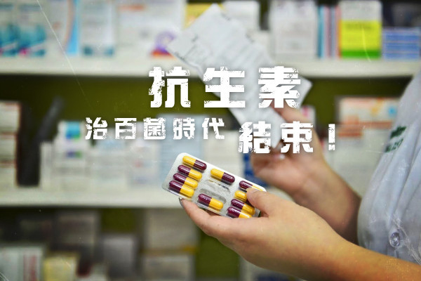 【抗生素無效！】生物共振加食療 告別幽門螺旋菌
