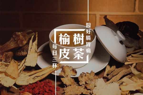 【醫人貓狗都Work】印地安古法食療：榆樹皮醫腸胃炎！