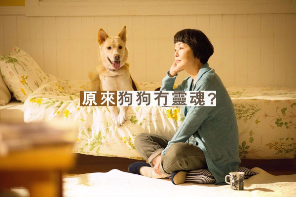 【人死後會點？】呢個千古謎題，靈魂專家已有答案！