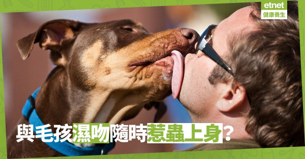 【病「蟲」口入】喜歡與毛孩親親？小心成為寄生蟲下位宿主