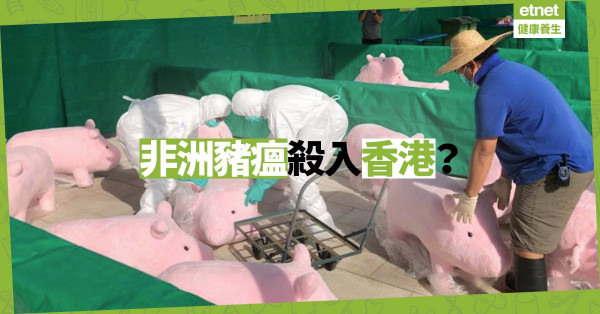 【食物安全】豬場濫用抗生素無王管？港人自保焗買歐盟豬肉