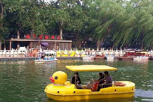 與小黃鴨暢遊什剎海
