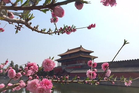 沿著故宮散步 感受老皇城氣息