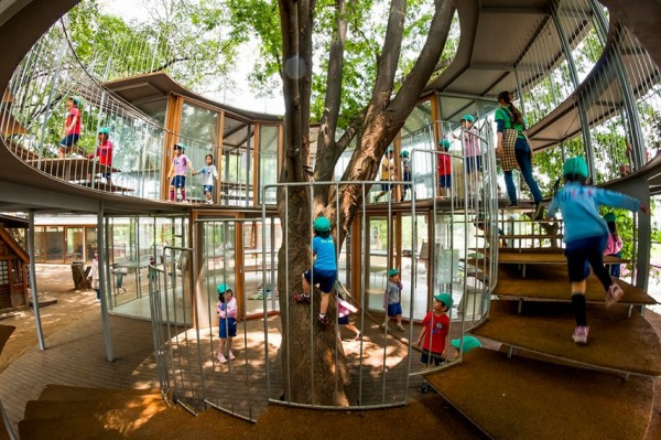 單車不過時　老樹不應斬