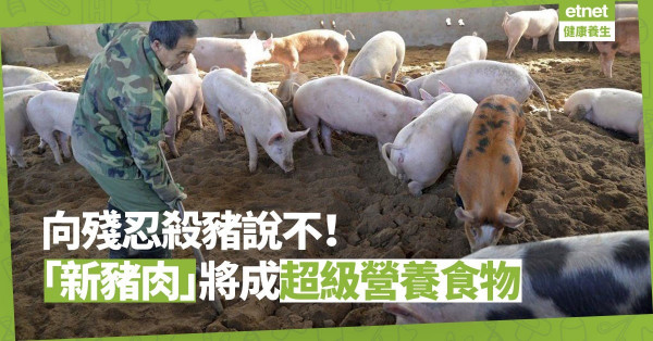 【Omnipork初創】豬肉是世界消耗最高的肉類！「新豬肉」將成為Super Food