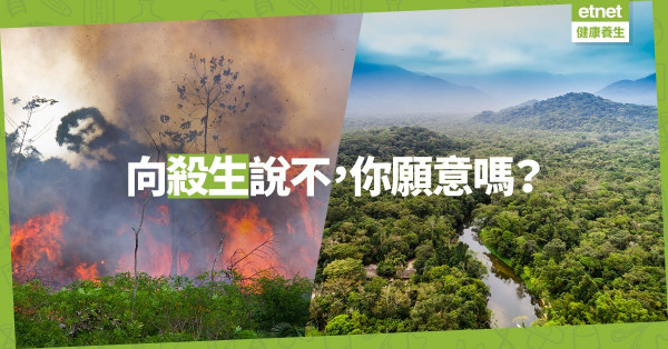 【地球之肺】亞馬遜雨林危在旦夕！港人日常飲食為罪魁禍首
