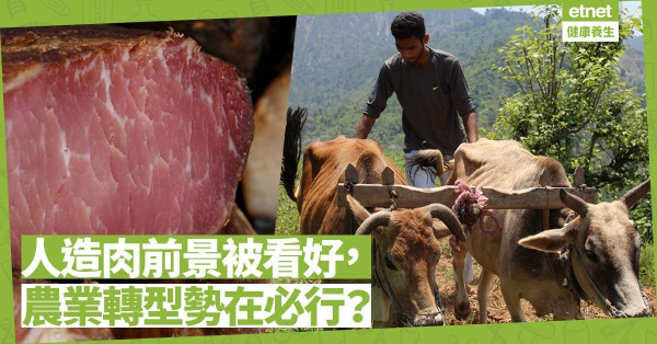 【綠色經濟】2030 年現糧食危機，要靠「細胞栽培肉」餵飽全人類？