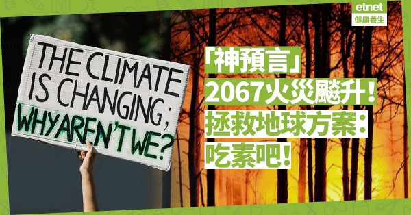 【水深火熱】對抗氣候變遷要付出多少代價？吃素可直接減輕地球負擔，行動吧！