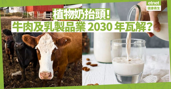  【巿場新趨勢】植物奶抬頭！專家預測：牛肉及乳製品業將於 2030 年瓦解！