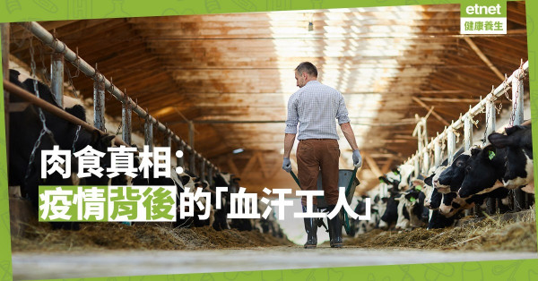 【肉食真相】疫情揭示肉食「血汗工廠」實況！受苦不止動物，還有人類！