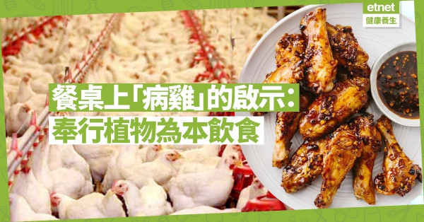 【飲食反思】餐桌上的「病雞」：認識植物為本、可持續飲食模式刻不容緩！