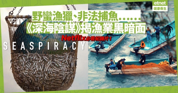 【Netflix大熱】紀錄片《深海陰謀》揭開漁業黑暗面，直擊各利益團體！看後還能心安理得吃海鮮嗎？