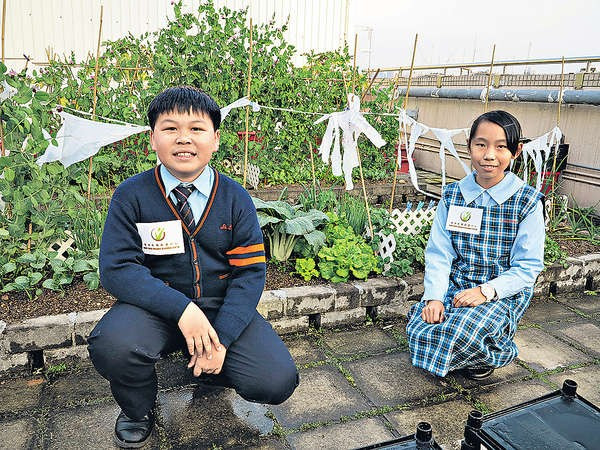 孩子用廢物設計 籲父母反醒節約