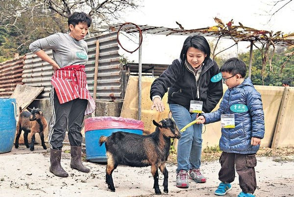 探訪羊羊農莊 學懂愛惜動物  