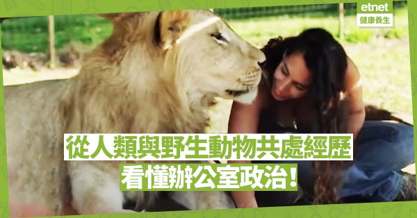 【靈性篇】從野生動物相處看懂人性：瘦弱人類怎樣成為野生獅子群首領？