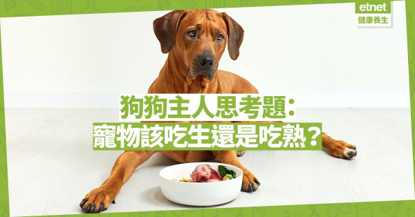 【生活篇】給狗狗最好的食物：寵物該吃生還是吃熟？
