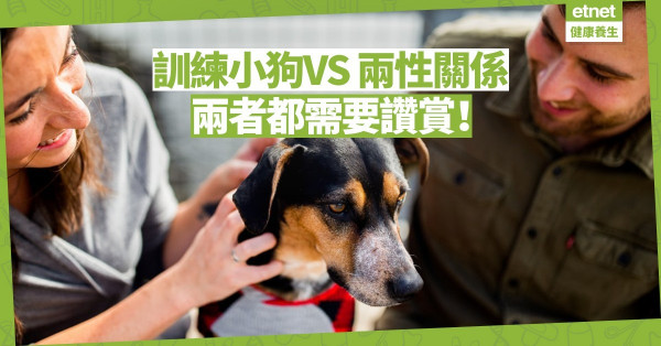 【關係篇】訓練小狗和兩性關係的相同之處：都需要讚賞！