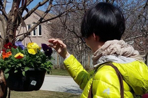 生與死不關我的事