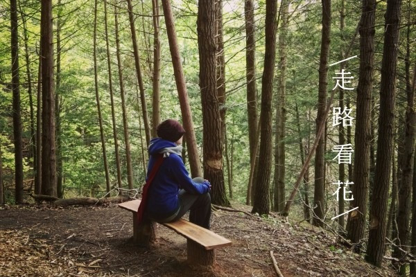 【走路看花】登登登….櫈