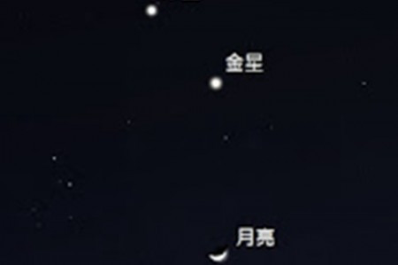 星月爭輝，開心寬敞