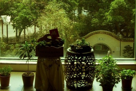 七年回望 - 忙碌與悠閒 