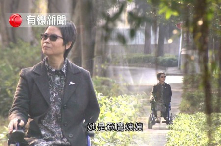 飛鷹翱翔
