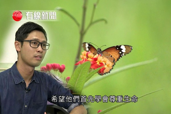 羽化成蝶