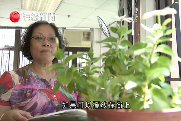 綠化社區