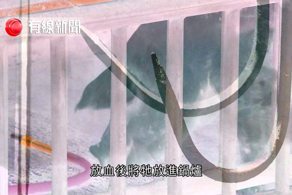 放下屠刀