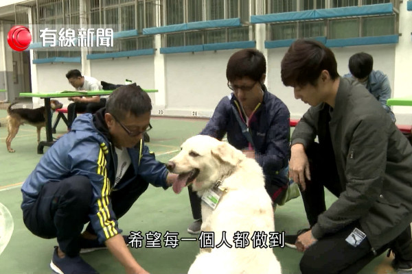 狗有所愛