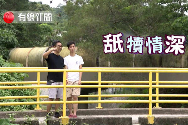 舐犢情深