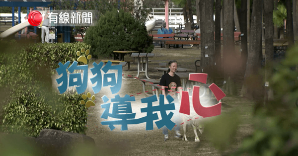 狗狗導我心