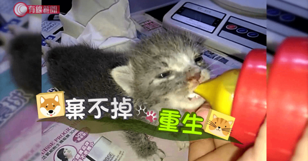 棄不掉‧重生