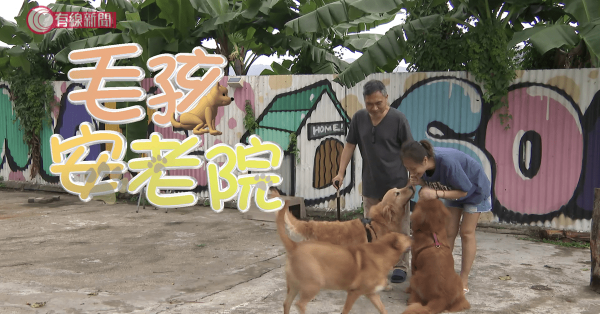 毛孩安老院
