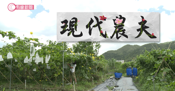 現代農夫