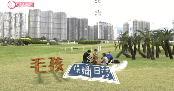 毛孩保姆日誌