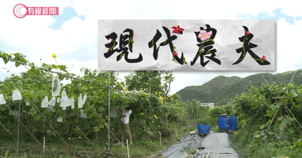 IT農夫