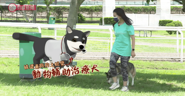 被遺棄狗狗之蛻變．動物輔助治療犬