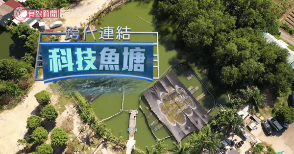 跨代連結科技魚塘