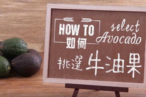 如何挑選牛油果？