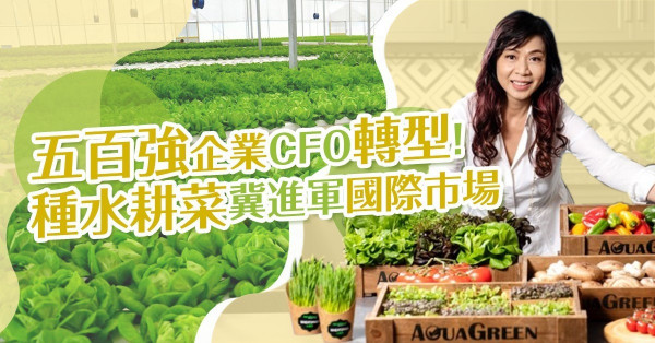 【實踐慢活】看準無污染蔬菜大勢！五百強企業CFO轉型種水耕菜，冀進軍國際市場