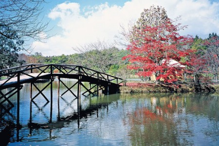 秋遊輕井澤 $6100賞楓跑半馬