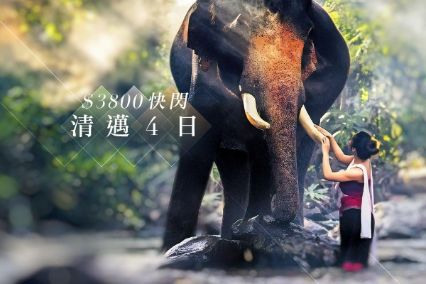 $3,800 快閃清邁4日 與大象共舞 嘆法式finedining