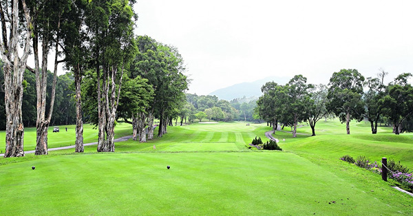 揮捍打golf一剎，有人等上樓等了17年