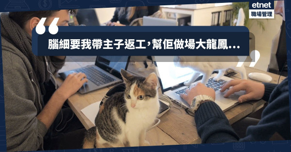 【腦細「欏柚痕」】帶埋寵物返工放鬆下？　原來上司為刷存在感，真係可以去到好盡
