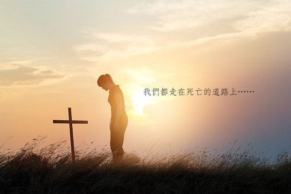 【喪鐘為誰敲？】我們都走在死亡的道路上，你不必訝異……