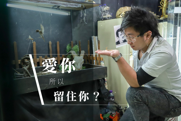 【和骨骼談一場戀愛！】捨得不捨得？90後標本師為寵主留下永恆