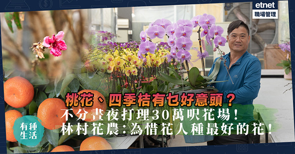 農曆新年2023｜30萬呎花場種桃花、四季桔、百合、蘭花！朝4凌晨2打理、39年無吃團年飯！大埔林村花農：為惜花人種最好的花！