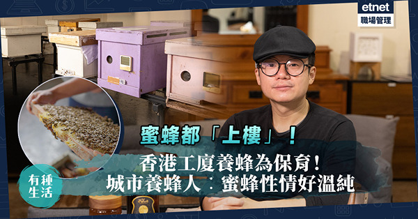 蜜蜂都「上樓」！香港工廈養蜂為保育！人蜂共存可以做到嗎？城市養蜂人︰蜜蜂性情好溫純！